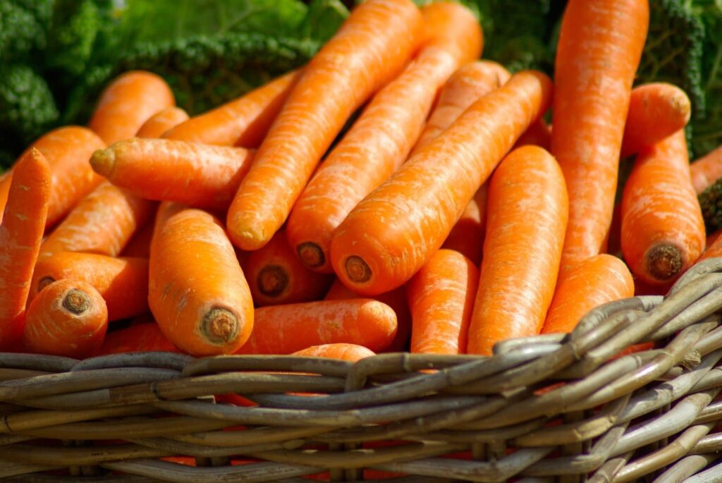 Basket of bright orange carrots
